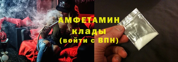 прущие грибы Баксан