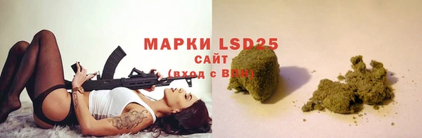 прущие грибы Баксан