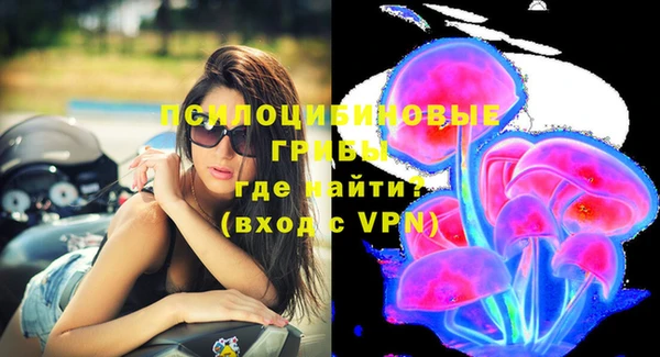 прущие грибы Баксан