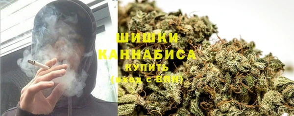 прущие грибы Баксан