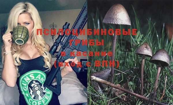 крисы Балабаново