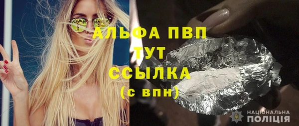 прущие грибы Баксан