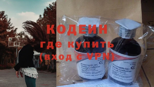 прущие грибы Баксан
